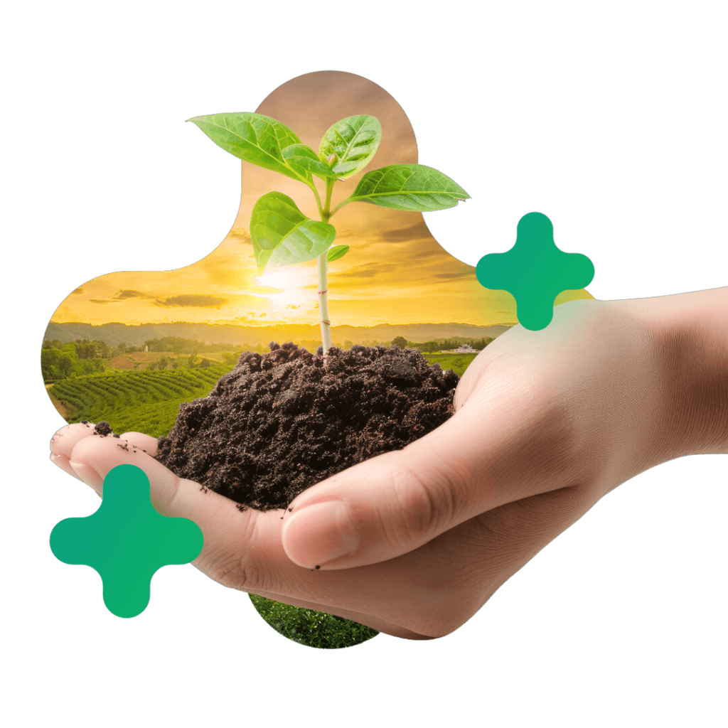 imagem mercado e o café carbono neutro